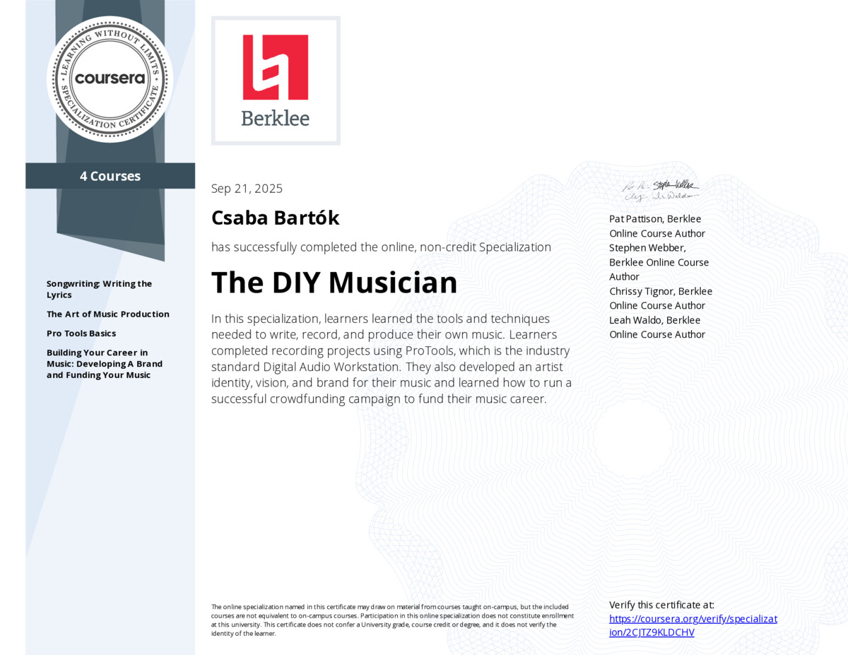 The DIY Musician
